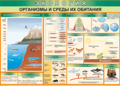 Таблица "Организмы и среды их обитания" (100х140 сантиметров, винил) - fgospostavki.ru - Нижневартовск