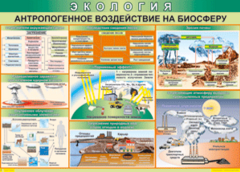 Таблица "Антропогенное воздействие на биосферу" (100х140 сантиметров, винил) - fgospostavki.ru - Нижневартовск