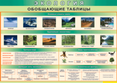 Таблица "Экология. Обобщающие таблицы" (100х140 сантиметров, винил) - fgospostavki.ru - Нижневартовск