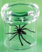 Баночка для изучения насекомых GeoSafari - fgospostavki.ru - Нижневартовск