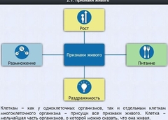 Интерактивные курсы. Биология 5 класс. Базовый - fgospostavki.ru - Нижневартовск