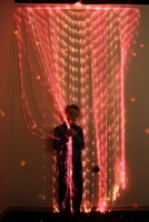 Мерцающий занавес в комплекте с источником света - fgospostavki.ru - Нижневартовск