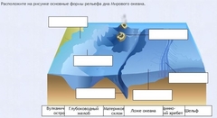 Интерактивные курсы. География 7 класс . Базовый. - fgospostavki.ru - Нижневартовск