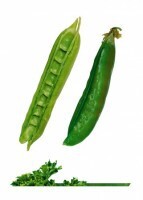 Комплект карточек "Запоминай, играй, считай" -  Овощи - fgospostavki.ru - Нижневартовск