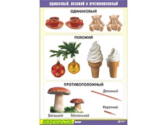 Таблица демонстрационная "Одинаковый, похожий и противоположный" (винил 70x100) - fgospostavki.ru - Нижневартовск