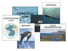 Модель-аппликация "Океаны. Знакомство" (ламинированная) - fgospostavki.ru - Нижневартовск