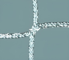 Сетка заградительная ячейка (нить 3,5 мм) (40х40 мм) - fgospostavki.ru - Нижневартовск