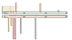 Модель-аппликация "Расстояния во Вселенной" - fgospostavki.ru - Нижневартовск