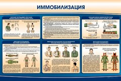 Стенд "Иммобилизация" - fgospostavki.ru - Нижневартовск