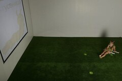 Интерактивная светозвуковая система “Лайт Бим” - fgospostavki.ru - Нижневартовск