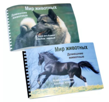 Пособие для слабовидящих - Домашние животные - fgospostavki.ru - Нижневартовск