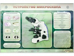 Электрифицированный стенд "Устройство микроскопа и правила работы c ним" - fgospostavki.ru - Нижневартовск