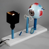 Модель "Зрение" (электрическая) - fgospostavki.ru - Нижневартовск