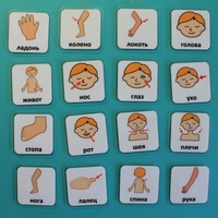 Набор карточек "Части тела" - fgospostavki.ru - Нижневартовск