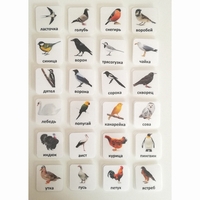 Набор карточек "ПТИЦЫ" - fgospostavki.ru - Нижневартовск
