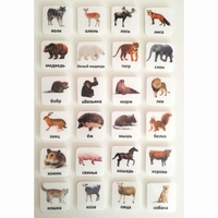 Набор карточек "ЖИВОТНЫЕ" - fgospostavki.ru - Нижневартовск