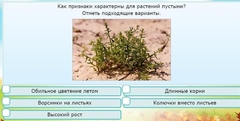 Интерактивные курсы. Окружающий мир 3 класс . Базовый. - fgospostavki.ru - Нижневартовск