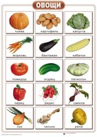 Таблицы "Окружающий мир" (формат А2, ламинированные, 10 таблиц) - fgospostavki.ru - Нижневартовск