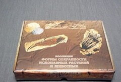 Коллекция "Формы сохранности ископаемых растений и животных" - fgospostavki.ru - Нижневартовск