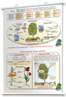 Плакаты по природоведению 2-3 классы. Для оформления кабинета. - fgospostavki.ru - Нижневартовск