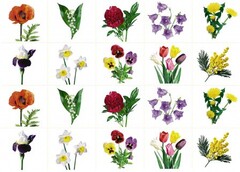 Комплект карточек "Запоминай, играй, считай" - Цветы - fgospostavki.ru - Нижневартовск