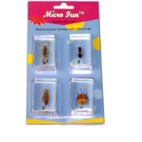 Набор микропрепаратов для стереомикроскопа №14 «Насекомые» - fgospostavki.ru - Нижневартовск