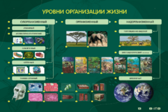 Электрифицированный стенд "Уровни организации жизни" - fgospostavki.ru - Нижневартовск