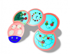 Тактильно-развивающая панель «Гусеница» - fgospostavki.ru - Нижневартовск