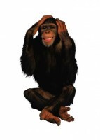 Комплект карточек "Запоминай, играй, считай" - Дикие животные - fgospostavki.ru - Нижневартовск