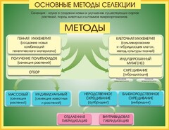 Стенд "Методы селекции и биотехнологии" - fgospostavki.ru - Нижневартовск