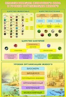 Стенд "Классификация животного мира" - fgospostavki.ru - Нижневартовск