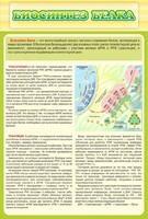 Стенд "Биосинтез белка" - fgospostavki.ru - Нижневартовск