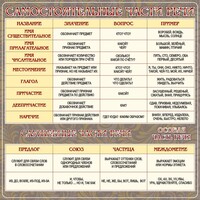 Стенд "Самостоятельные части речи" Вариант 2 - fgospostavki.ru - Нижневартовск