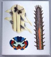 Модель барельефная "Строение спинного мозга" - fgospostavki.ru - Нижневартовск