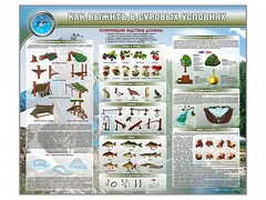 Стенд "Как выжить в суровых условиях" - fgospostavki.ru - Нижневартовск