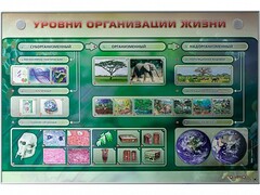 Электрифицированный стенд "Уровни организации жизни" - fgospostavki.ru - Нижневартовск