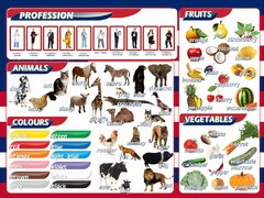 Стенд "Цвета, животные, профессии, фрукты, овощи" - fgospostavki.ru - Нижневартовск