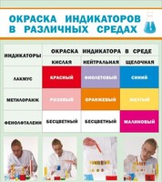 Стенд "Окраска индикаторов в различных средах" - fgospostavki.ru - Нижневартовск