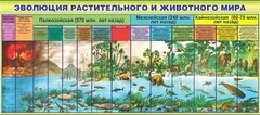 Стенд "Эволюция растительного и животного мира" - fgospostavki.ru - Нижневартовск