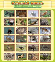 Стенд "Красная книга - млекопитающие" - fgospostavki.ru - Нижневартовск