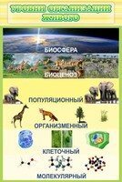 Стенд "Уровни организации живого" - fgospostavki.ru - Нижневартовск