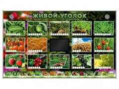 Комплект оборудования "Живой уголок" (растения) - fgospostavki.ru - Нижневартовск