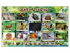 Комплект оборудования "Живой уголок" (животные) - fgospostavki.ru - Нижневартовск