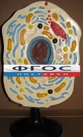 Модель "Клетка животного" - fgospostavki.ru - Нижневартовск
