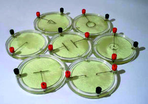 Демонстрационный комплект «Силовые линии электрического поля разных систем зарядов» - fgospostavki.ru - Нижневартовск