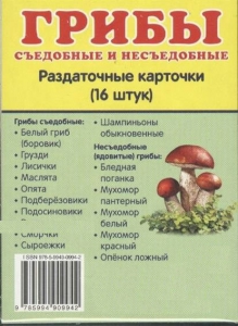 Раздаточные карточки "Грибы съедобные и не съедобные" - fgospostavki.ru - Нижневартовск
