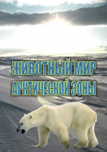 DVD "Животный мир Арктической зоны" - fgospostavki.ru - Нижневартовск