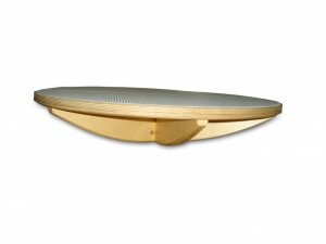 Балансир детский (круг) - fgospostavki.ru - Нижневартовск