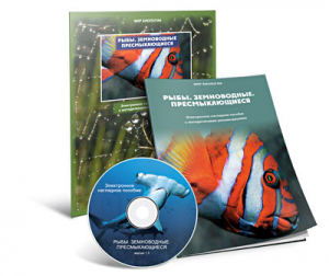 Электронное наглядное пособие «Рыбы. Земноводные. Пресмыкающиеся» - fgospostavki.ru - Нижневартовск