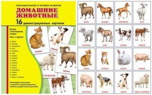 Демонстрационные карточки "Домашние животные" - fgospostavki.ru - Нижневартовск